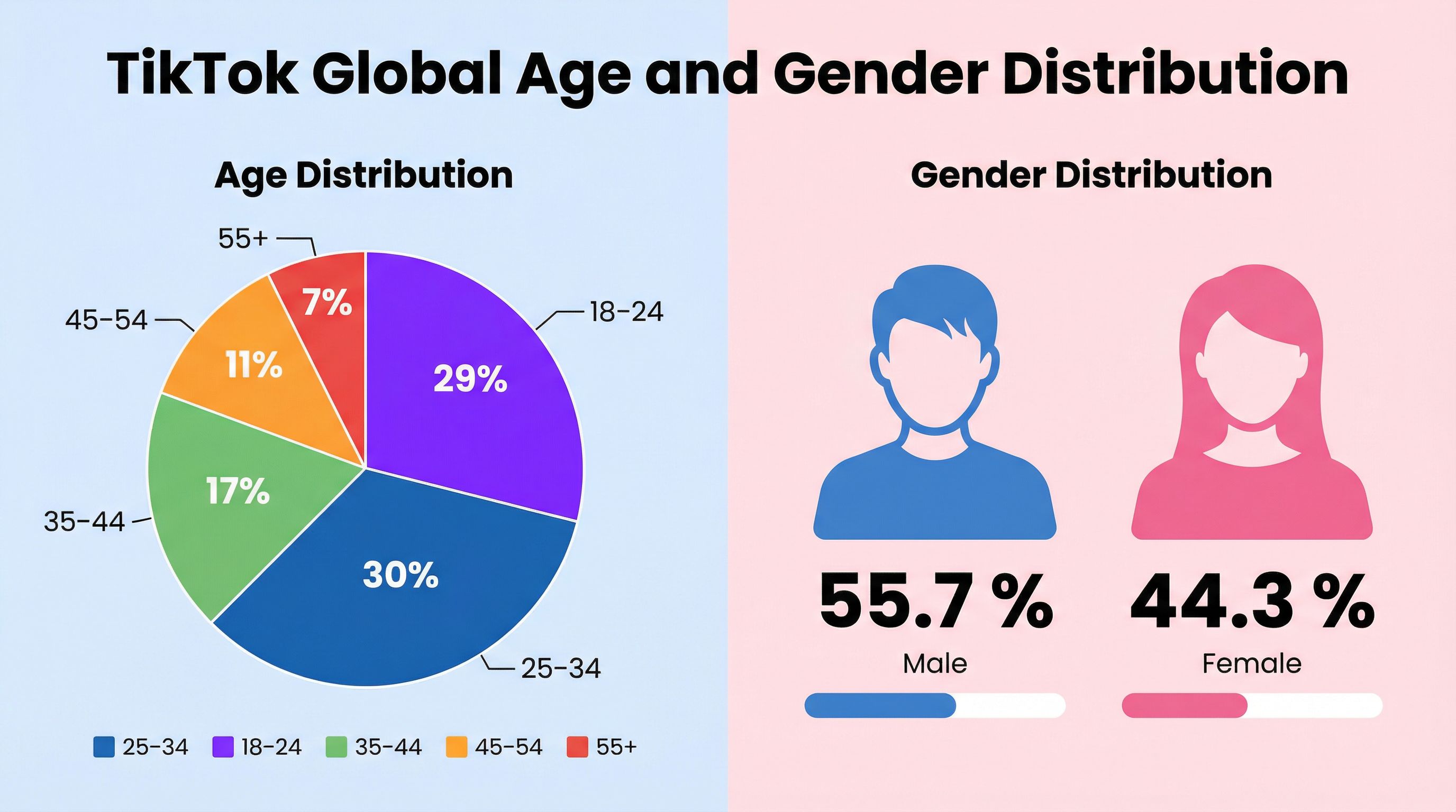 4 TikTok Age and Gender Distribution 2025
