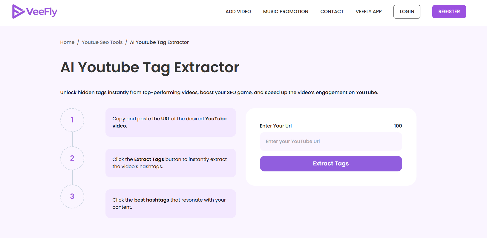 VeeFly youtube video tag extractor