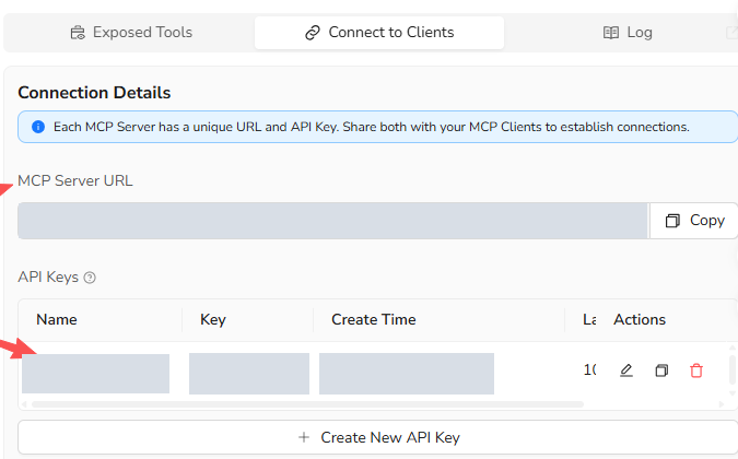 Connect to Clients showing where to copy the MCP Server URL and API Key