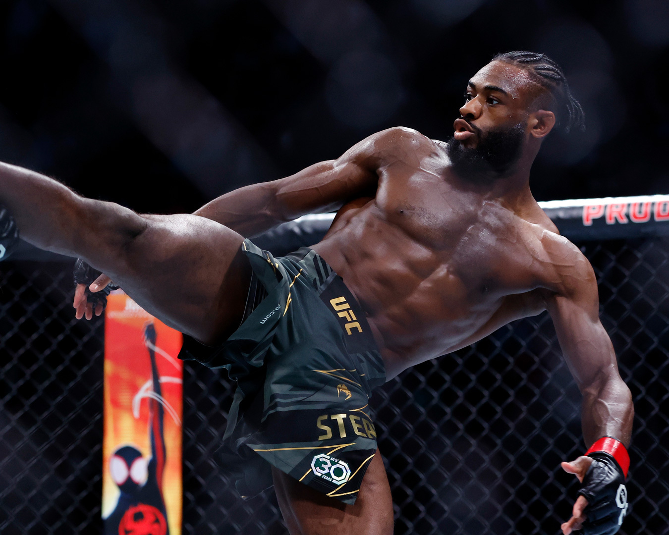 UFC imagery from TKO’s official business portfolio. Source: TKO Group Holdings.