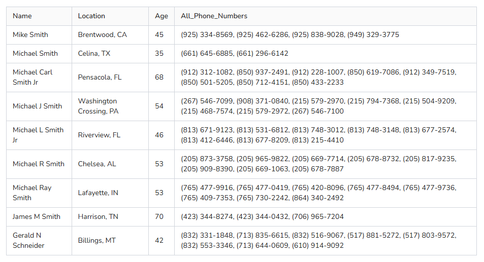 output browseract phone number extractor output