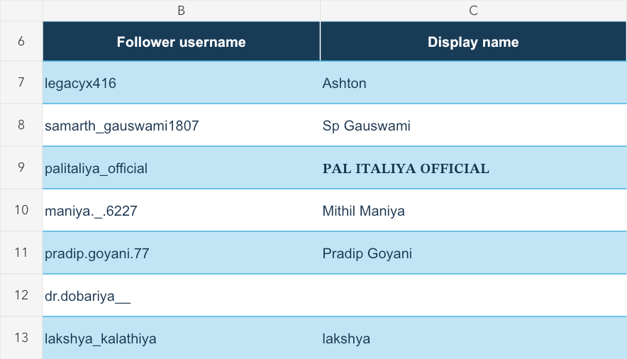 Seven actual exported follower rows from the downloadable 20-row Excel: usernames and display names